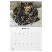 Mayzie Kalender V (2024 Stijl) (Feb 2026)