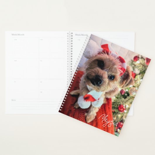 Mayzie Planner (Display)