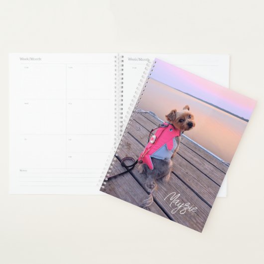 Mayzie Planner II (Display)