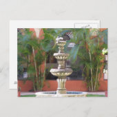 Mazatlan Fountain Briefkaart (Voorkant / Achterkant)
