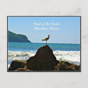 Mazatlan Mexicaanse zeemadel Briefkaart