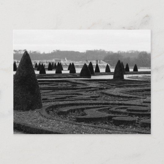 Maze Briefkaart (Voorkant)