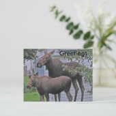 Mazen met kalf - Briefkaart voor groeten (Staand voorkant)