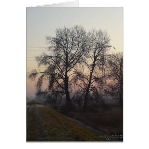 Mazoviaans landschap 1