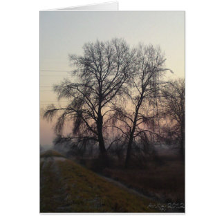 Mazoviaans landschap 1