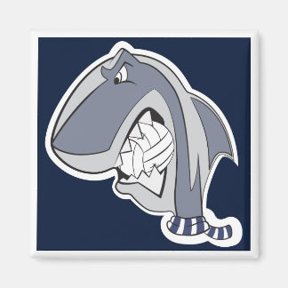 MBB '04 | Calamita Magneet