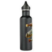 Mbu Pufferfish Freshwater Puffers Large Aquarium F Waterfles (Links)