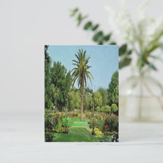 Mc Kinley park Sacramento post card Briefkaart (Staand voorkant)