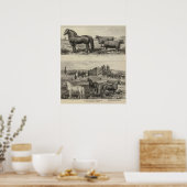 McAfee Property, Topeka McCrumb, Kansas Poster (Keuken)