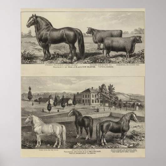 McAfee Property, Topeka McCrumb, Kansas Poster (Voorkant)