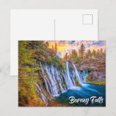 McArthur-Burney Falls Memorial State Park Briefkaart (Voorkant / Achterkant)