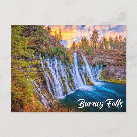 McArthur-Burney Falls Memorial State Park Briefkaart (Voorkant)