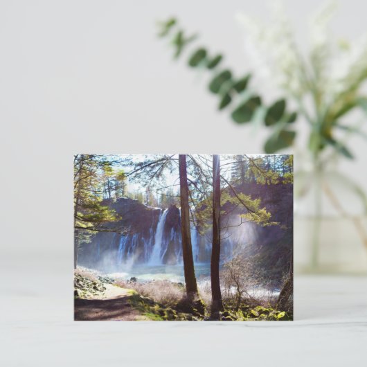 McArthur-Burney Herfsten Memorial State Park Briefkaart (Staand voorkant)