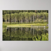 McCall Pond Poster (Voorkant)