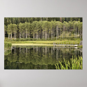 McCall Pond Poster