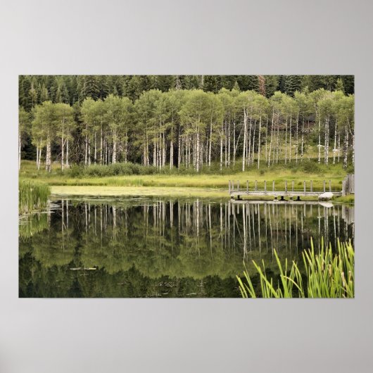 McCall Pond Poster (Voorkant)
