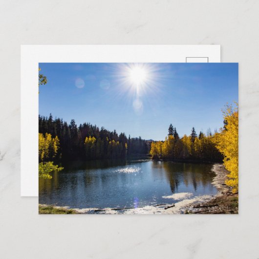 McClellan Lake in oktober Briefkaart (Voorkant / Achterkant)