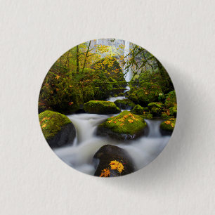 McCord Creek esdoorn   Columbia Gorge, OR Ronde Button 3,2 Cm
