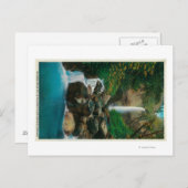 McCord heeft Herfsten gemaakt op de Columbia River Briefkaart (Voorkant / Achterkant)