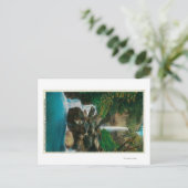 McCord heeft Herfsten gemaakt op de Columbia River Briefkaart (Staand voorkant)