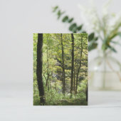 McCormick's Creek-Briefkaart Briefkaart (Staand voorkant)