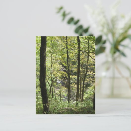 McCormick's Creek-Briefkaart Briefkaart (Staand voorkant)