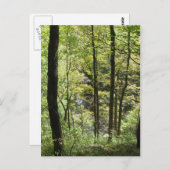 McCormick's Creek-Briefkaart Briefkaart (Voorkant / Achterkant)