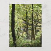 McCormick's Creek-Briefkaart Briefkaart (Voorkant)