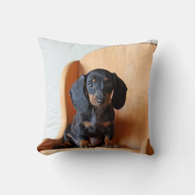 McCoy de Dachshund Square Pillow Kussen (Voorkant)