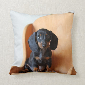 McCoy de Dachshund Square Pillow Kussen