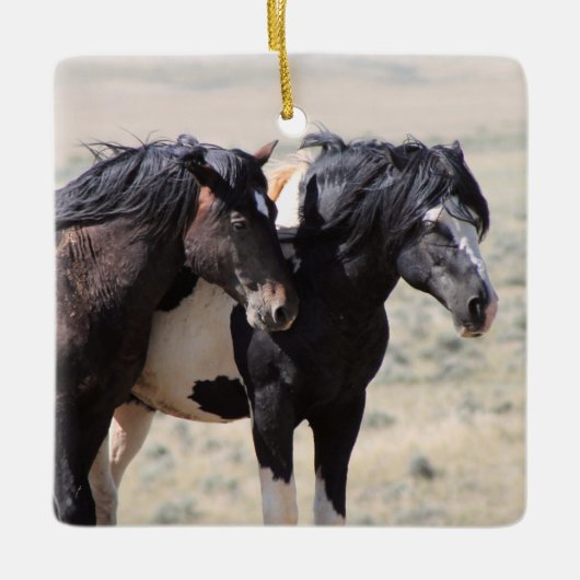 McCullough Peaks Washakie Ceramic Ornament (Voorkant)