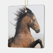 McCullough Peaks Wild Horse Ceramic Ornament (Links)