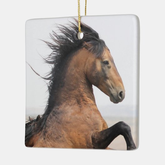McCullough Peaks Wild Horse Ceramic Ornament (Links)