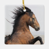 McCullough Peaks Wild Horse Ceramic Ornament (Voorkant)