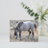 McCullough Peaks Wild Horses Briefkaart (Staand voorkant)