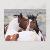 McCullough Peaks Wild Horses Briefkaart (Voorkant)