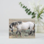 McCullough Peaks Wild Horses Briefkaart (Staand voorkant)