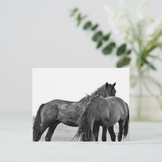 McCullough Peaks Wild Horses Briefkaart (Staand voorkant)