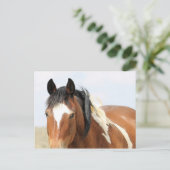 McCullough Peaks Wild Horses Briefkaart (Staand voorkant)