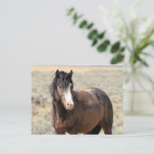 McCullough Peaks Wild Horses Briefkaart (Staand voorkant)