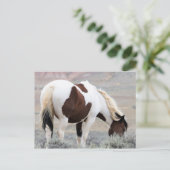 McCullough Peaks Wild Horses Briefkaart (Staand voorkant)