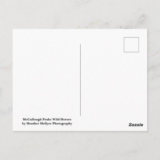 McCullough Peaks Wild Horses Briefkaart (Achterkant)
