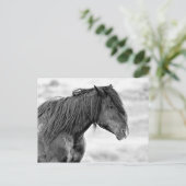 McCullough Peaks Wild Horses Briefkaart (Staand voorkant)