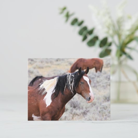 McCullough Peaks Wild Horses Briefkaart (Staand voorkant)