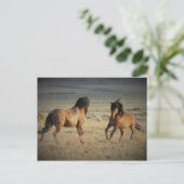 McCullough Peaks Wild Horses Briefkaart (Staand voorkant)