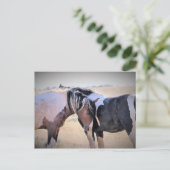 McCullough Peaks Wild Horses Briefkaart (Staand voorkant)