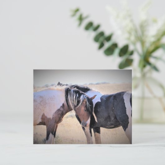 McCullough Peaks Wild Horses Briefkaart (Staand voorkant)