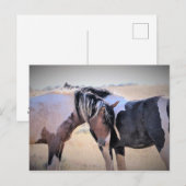 McCullough Peaks Wild Horses Briefkaart (Voorkant / Achterkant)