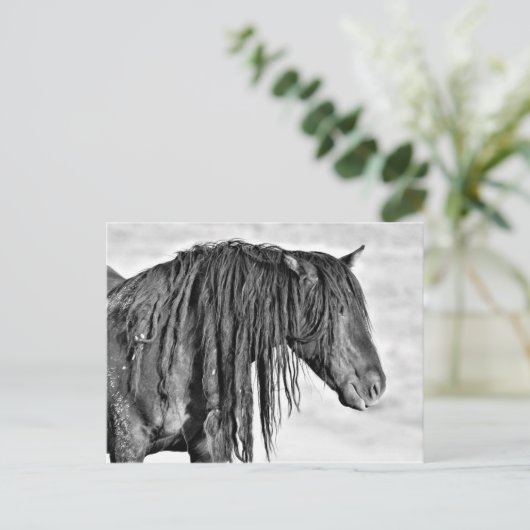 McCullough Peaks Wild Horses Briefkaart (Staand voorkant)