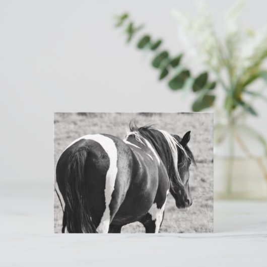 McCullough Peaks Wild Horses Briefkaart (Staand voorkant)